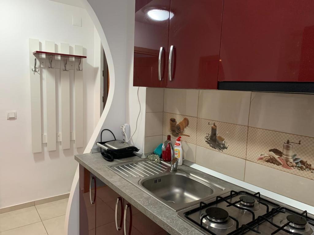 Garsoniera Natalia Apartment Сибиу Екстериор снимка