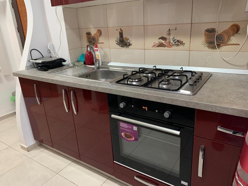 Garsoniera Natalia Apartment Сибиу Екстериор снимка